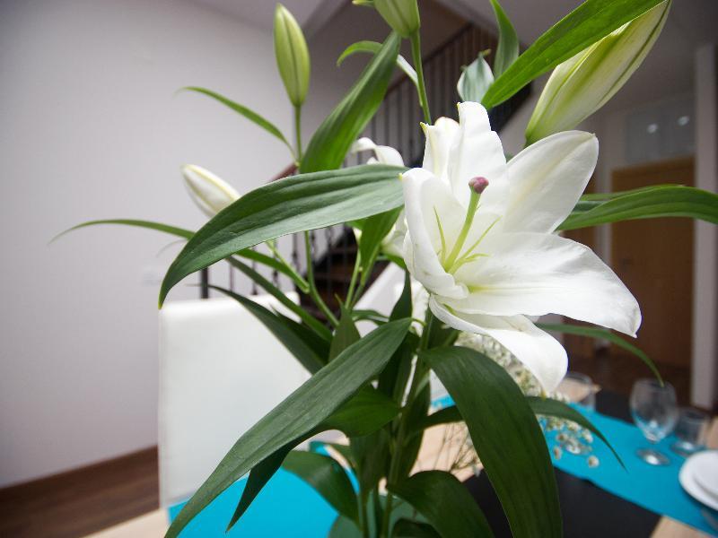 Oyo Style Apartments Puerto บาเลนเซีย ภายนอก รูปภาพ
